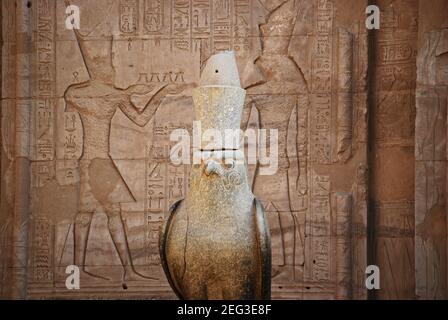 Antica scultura di Dio Horus al Tempio di Edfu. Egitto Foto Stock