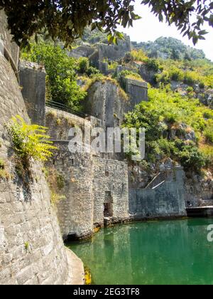 Kator Котор Kotor è una città costiera del Montenegro. Golfo di Cattaro. Foto Phil Wilkinson / Alamy Foto Stock