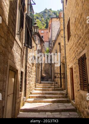Kator Котор Kotor è una città costiera del Montenegro. Golfo di Cattaro. Foto Phil Wilkinson / Alamy Foto Stock