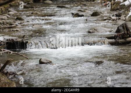 Dettagli con le acque limpide di un ruscello di montagna in corso durante una fredda e soleggiata giornata invernale nei Monti Carpazi rumeni. Foto Stock