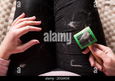 Problemi con i capelli degli animali domestici. Ragazza con pennello e capelli di gatto sui suoi vestiti, primo piano. Foto Stock