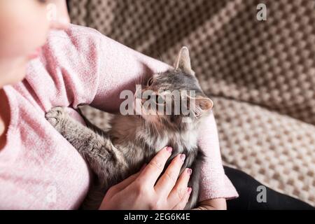 Giovane donna che accarezza il suo bel gatto grigio tra le braccia, a casa. Foto Stock