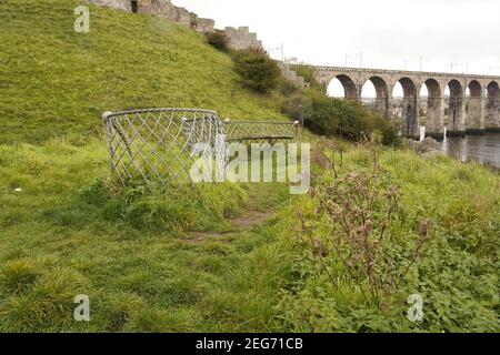 Il Royal Border Bridge che attraversa il fiume Tweed Foto Stock