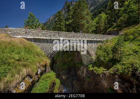 Pont d'Espagne in estate (Cauterets, Parco Nazionale dei Pirenei, Francia) ESP: Pont d'Espagne en verano (Cauterets, Parque Nacional de los Pirineos) Foto Stock