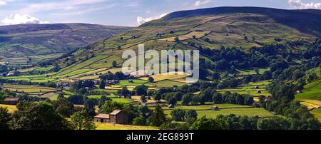 Vista panoramica di Kisdon Hill, Swaledale, Yorkshire Dales National Park, vicino al villaggio di Muker. Foto Stock