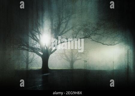 Una strada di campagna circondata da alberi silhouette contro le luci di strada in una notte di nebbia. Con un grunge, artistico, montaggio Foto Stock