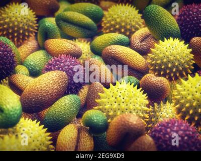 L'allergia al polline è nota anche come febbre da fieno o rinite allergica. Foto Stock