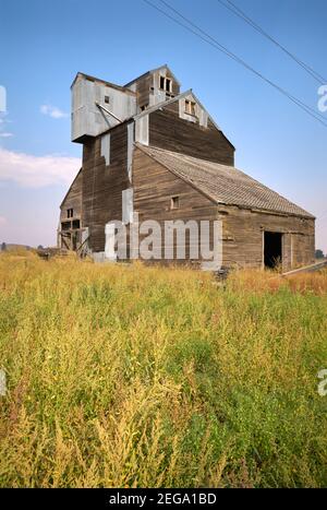 Ascensore rustico in legno. Un vecchio, abbandonato, elevatore di legno di grano d'epoca in un campo. Foto Stock