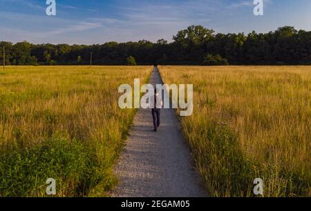 Uomo che cammina lungo sentiero per la foresta tra campi gialli al mattino soleggiato Foto Stock