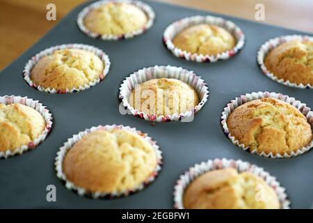 Torte fairy in scatole di carta appena fuori del forno Foto Stock