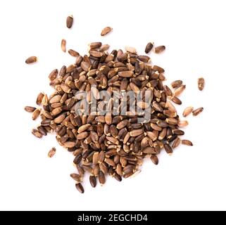 Cardo mariano semi, isolati su sfondo bianco. Silybum marianum, Scotch Thistle o Cardo Mariano. Close-up. Vista dall'alto. Foto Stock