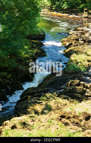 Vicino all'Abbazia di Bolton e a Skipton, le pericolose rapide sul fiume Wharfe sono conosciute come The Strid, North Yorkshire, England, UK. Foto Stock