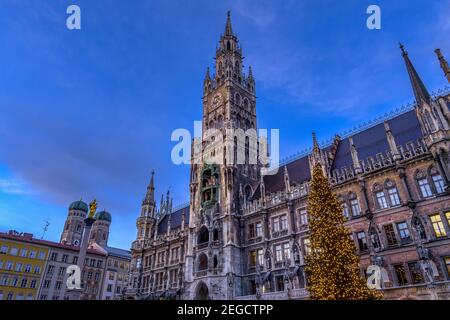 Nuovo municipio con albero di Natale illuminato , Marienplatz, Monaco di Baviera, alta Baviera, Baviera, Germania, Europa Foto Stock