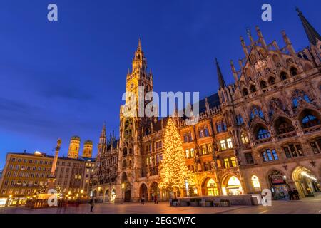 Nuovo municipio con albero di Natale illuminato , Marienplatz, Monaco di Baviera, alta Baviera, Baviera, Germania, Europa Foto Stock