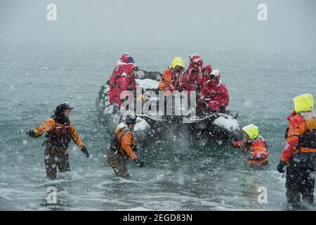 Il turista lascia l'atterraggio a St Andrews Bay sulla Georgia del Sud Isola Antartide in una barca zodiaca nella neve Foto Stock