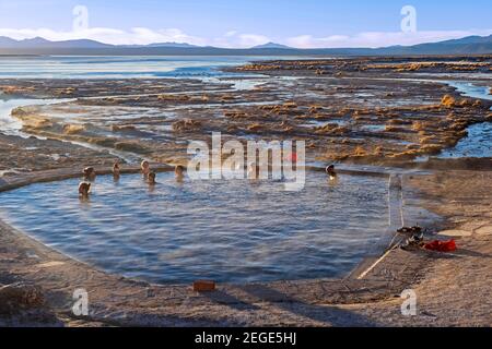 I turisti che nuotano nelle sorgenti termali delle Termas de Polques / Laguna Polques a Salar de Chalviri nella Riserva Nazionale della Fauna andina di Eduardo Avaroa, Bolivia Foto Stock