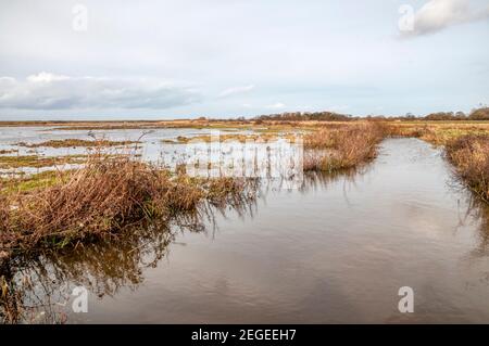 Canale di drenaggio pieno e traboccante su pascoli di paludi d'acqua dolce sulla riva orientale del Wash. Foto Stock
