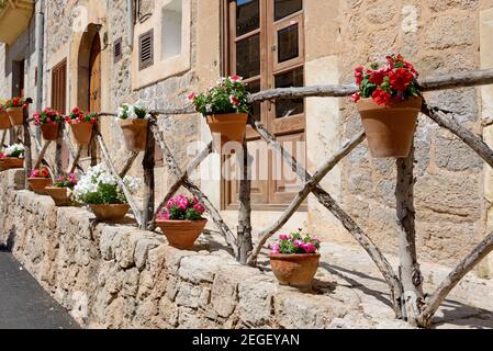 La decorazione di un edificio con fiori in vaso all'aperto su recinzione in legno a Soller, isola di Maiorca, Spagna Foto Stock
