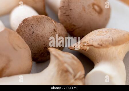 Particolare di funghi assemblati, funghi di Re Oyster, Champignon, Kräuterseitling, sfondo Foto Stock