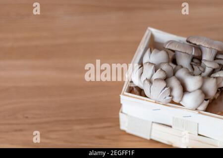 Particolare di funghi assemblati, funghi di Re Oyster, Champignon, Kräuterseitling, sfondo Foto Stock