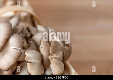 Particolare di funghi assemblati, funghi di Re Oyster, Champignon, Kräuterseitling, sfondo Foto Stock