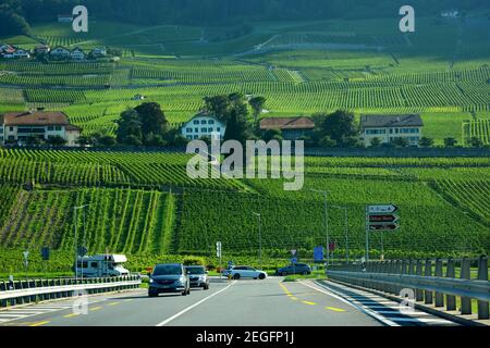 Chablais, Svizzera - 24 agosto 2019. Sulla strada attraverso i vigneti terrazzati a Chablais, cantone di Vaud, Alpi montagne, Svizzera Foto Stock