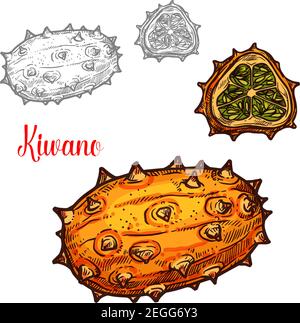 Icona del colore dello schizzo di Kiwano Fruit. Disegno grafico vettoriale di melone cornuto intero o esotico o gourd coperto melano frutti tropicali e fetta tagliata per Illustrazione Vettoriale