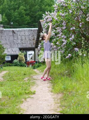 Bambina in abito a righe che tocca la pianta di Syringa all'aperto sullo sfondo della casa in campagna Foto Stock