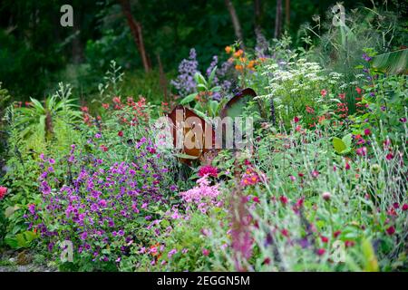 Malva sylvestris ,Lychnis coronaria Gardeners World, Foeniculum vulgare purpureum,finocchio di bronzo,salvia fulgens,salvia amistad,ensete ventricosum maure Foto Stock