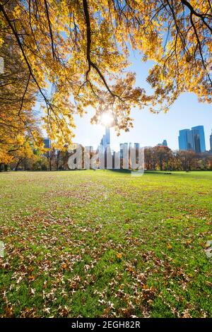 Il sole illumina gli alberi di colore delle foglie autunnali in Sheep Meadow a Central Park a New York City NY USA. Foto Stock