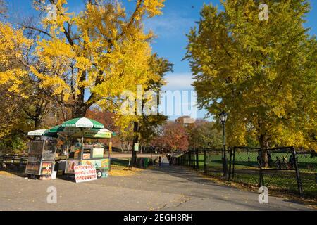 Lo stand Hotdog è aperto sotto il colore autunnale alberi Gingko accanto al Prato delle pecore nel Central Park a New York City NY USA. Foto Stock