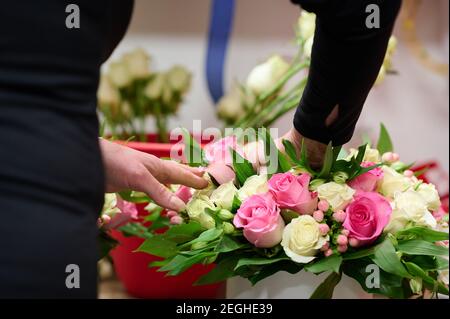 Fiorista fare una scatola di fiori con rose rosa e bianche, rose bianche in un serbatoio su uno sfondo Foto Stock
