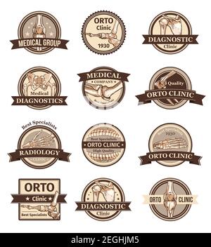 Set di icone vettoriali per o clinica o gruppo clinico. Concetto di biologia umana, ossa e articolazione. Badge anatomici per clinica diagnostica con bac Illustrazione Vettoriale
