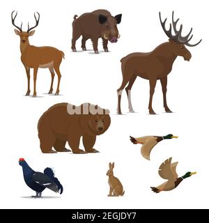 Set di icone isolate per animali selvatici e uccelli da caccia. Orso, anatra e cervo, renna, lepre e alci, cinghiale e gallo nero simbolo di c Illustrazione Vettoriale