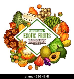 Poster di schizzi di frutta esotica. Vettore raccolta di frutti tropicali di pandan, bergamotto o mombin e jambolan, noci di cashew, physalis e bam-balan o bambangan Illustrazione Vettoriale