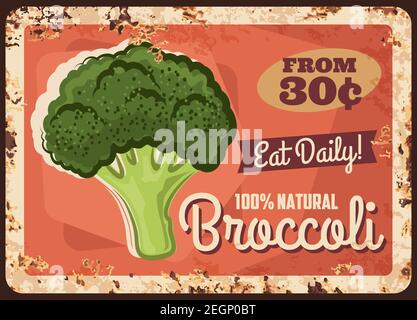 Broccoli piatto in metallo arrugginito, poster di allevamento di cavoli, vettore retro prezzo menu. Raccolta naturale biologica di cavoli di broccoli, verdure di insalata e vegeta Illustrazione Vettoriale