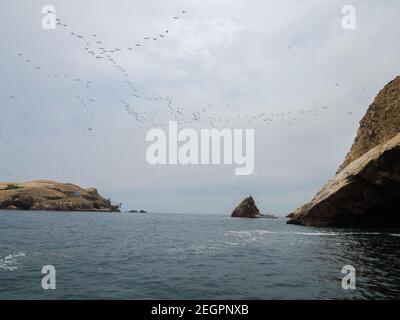 Uccelli che volano sul mare, alle Isole Ballestas Perù Foto Stock