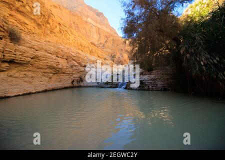 Grande piscina di acqua cristallina e una piccola cascata, a Nahal Arugot, nel mezzo di un paesaggio desertico, Ein Gedi Foto Stock