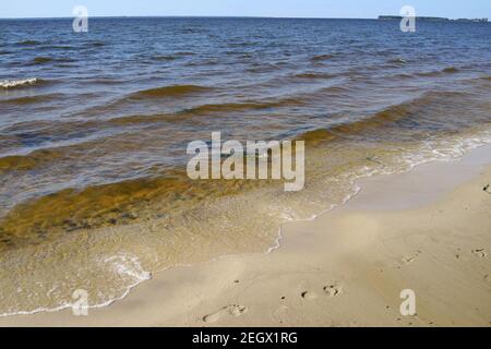 Serbatoio Rybinsk. Mare estivo con acque ondulate. Regione di Yaroslavl, Russia Foto Stock