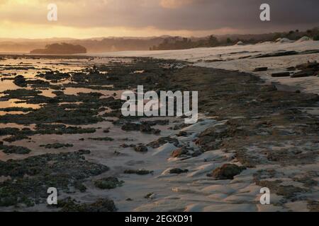 Spiaggia rocciosa intertidale e sabbiosa durante la bassa marea prima del tramonto a MAROSI, Lamboya, West Sumba, East Nusa Tenggara, Indonesia. Foto Stock