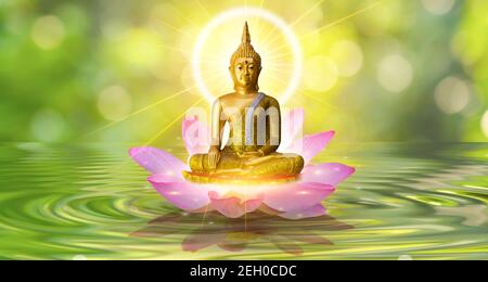 Statua del Buddha acqua lotus Buddha in piedi sul fiore di loto su sfondo arancione Foto Stock