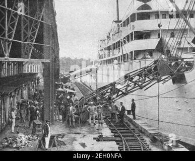 Inizio 20 ° secolo foto di banane giamaicane in corso di caricamento ad una nave di carico circa all'inizio del 1900 Foto Stock