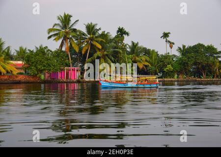 Kerala Backwaters, Kerala, India Foto Stock