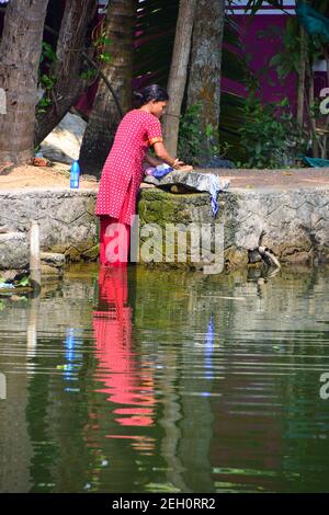 Lavaggio lavanderia, Kerala Backwaters, Kerala, India Foto Stock