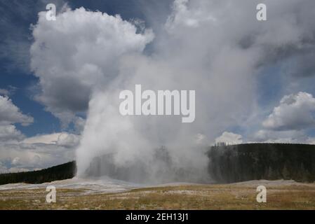 Geyser Old Faithful nel Parco Nazionale di Yellowstone, Wyoming USA Foto Stock