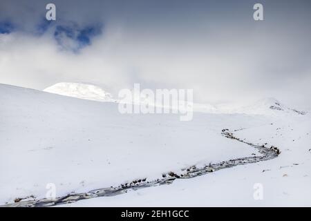 Il Tail Burn in inverno, il flusso proveniente dal remoto Loch Skeen che cade nella cascata Grey Mares Tail più a valle Foto Stock