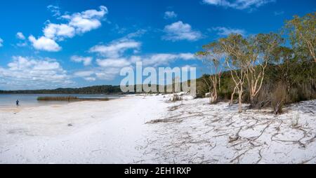 Lago Birrabeen spiaggia bianca su Fraser Island Great Sandy National Parcheggio Foto Stock