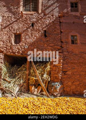 Granaio a Megdaz, un tradizionale villaggio berbero nella regione di M'Goun delle montagne dell'Atlante del Marocco Foto Stock