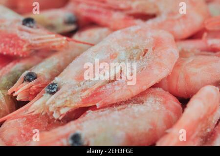 Gamberetti bolliti congelati. Scatto macro. Astratto cibo di fondo. Foto Stock