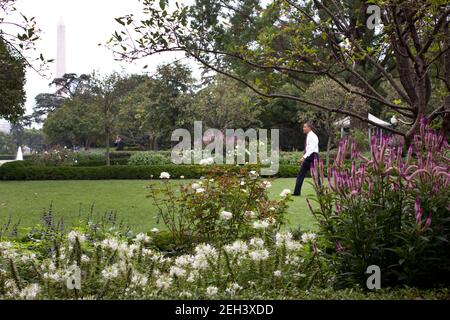 Il presidente Barack Obama cammina attraverso il Rose Garden dopo aver spostato il suo personale senior meeting all'aperto per approfittare di una piacevole giornata estiva a Washington, 12 agosto 2009. Foto Stock